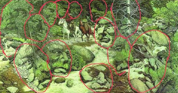 optička iluzija koliko lica vidite - odgovor