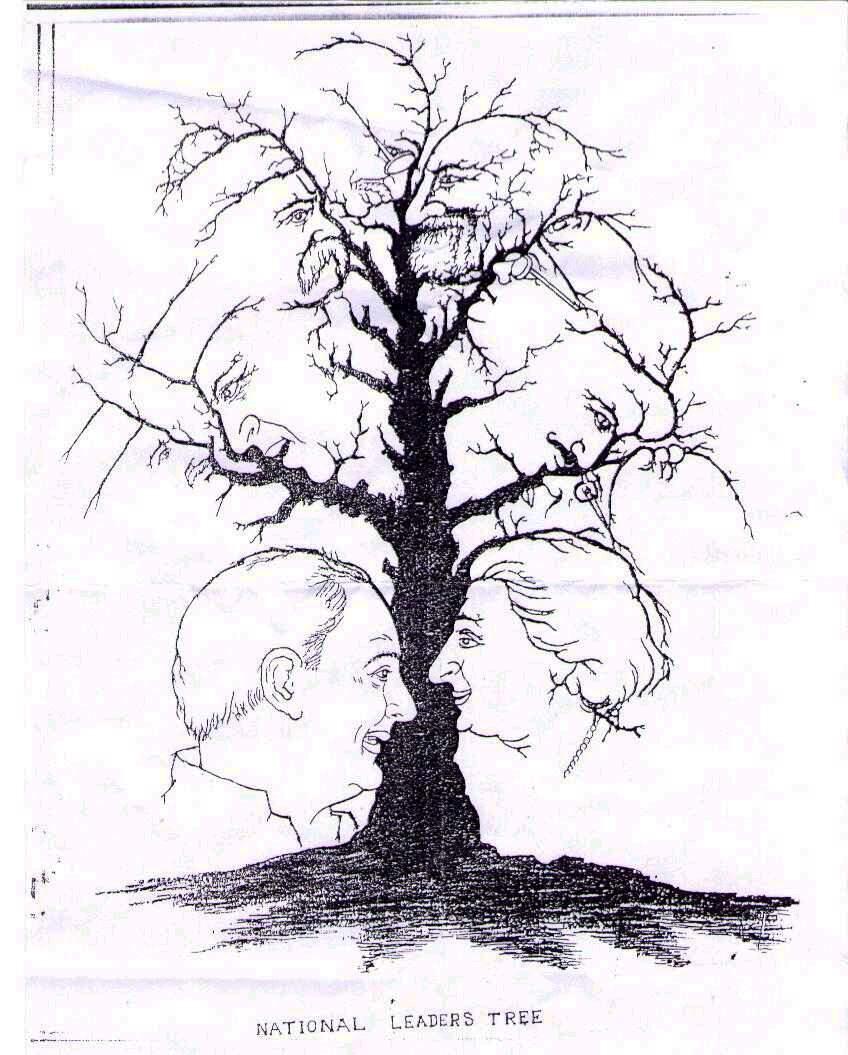 stablo mozgalica