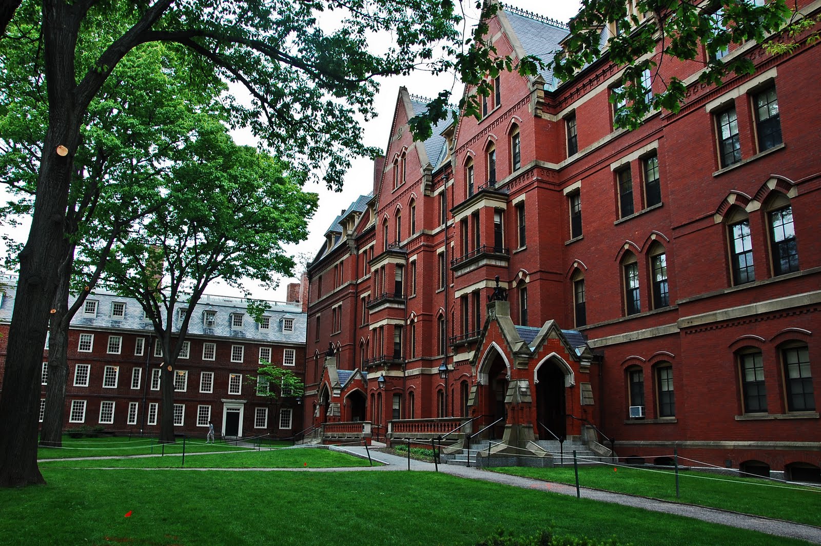 Harvard University 4