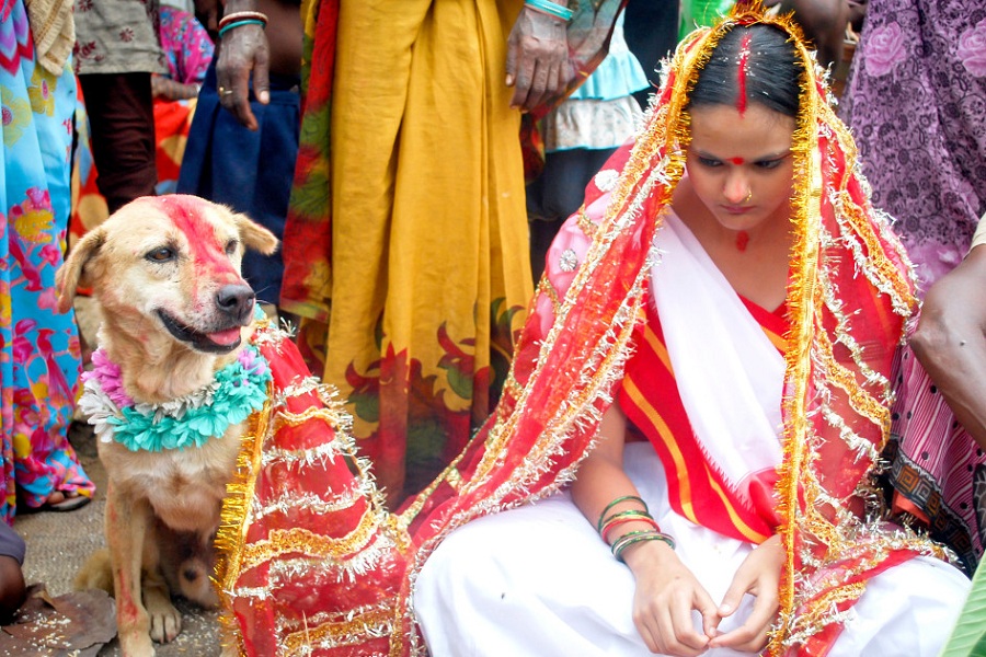 india svadba