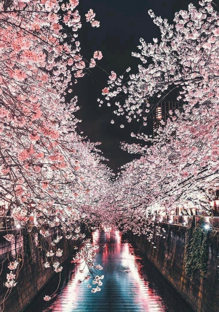 Kyoto Japan