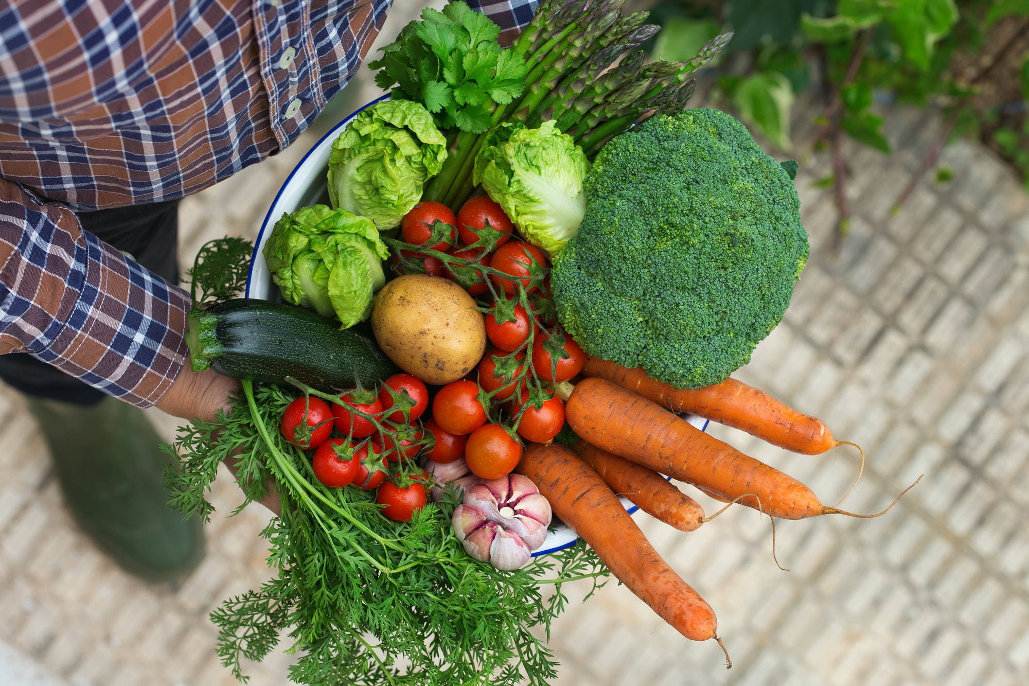 assortment or farmer market bio organic ripe vegetables in hands