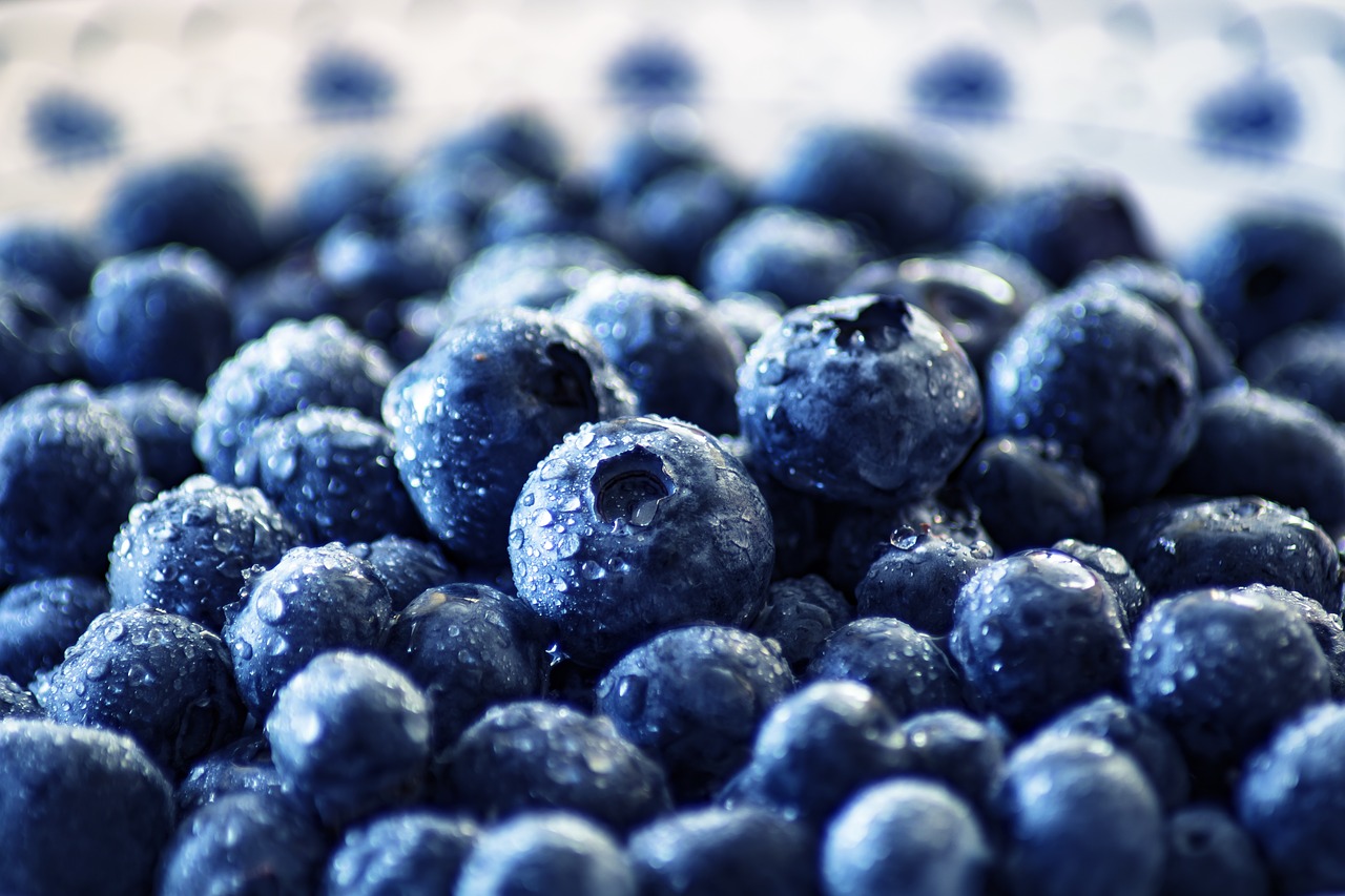 blueberries 1618689598