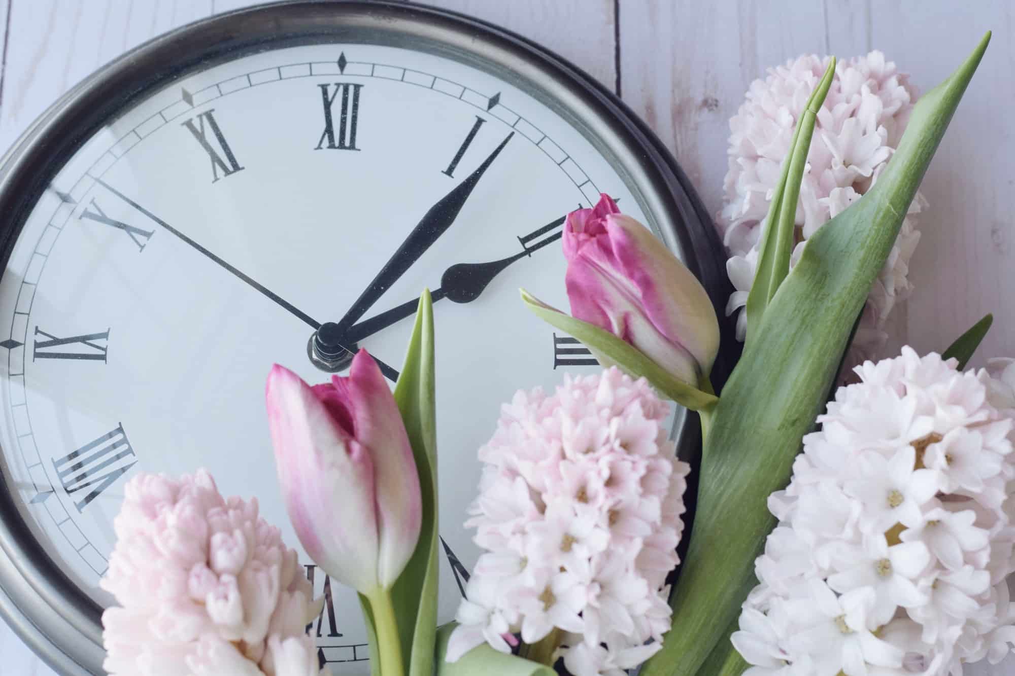 Spring forward clocks