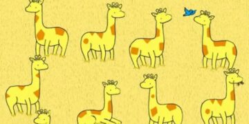 Možete li uočiti koja žirafa nema blizanca sa istim šarama?