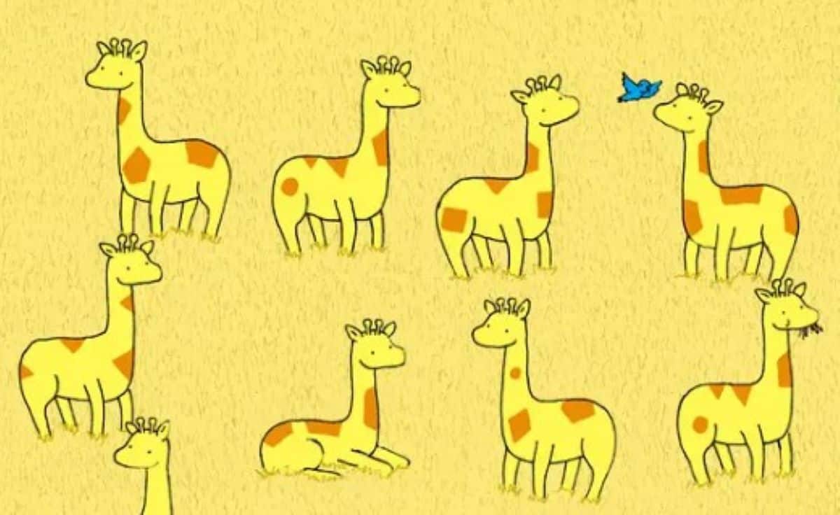 Možete li uočiti koja žirafa nema blizanca sa istim šarama?