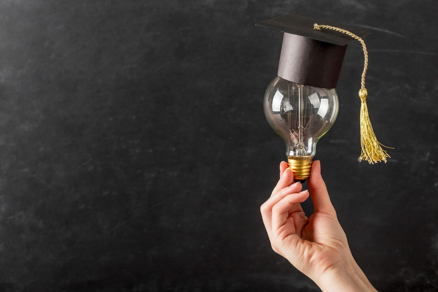 person holding light bulb with graduation cap