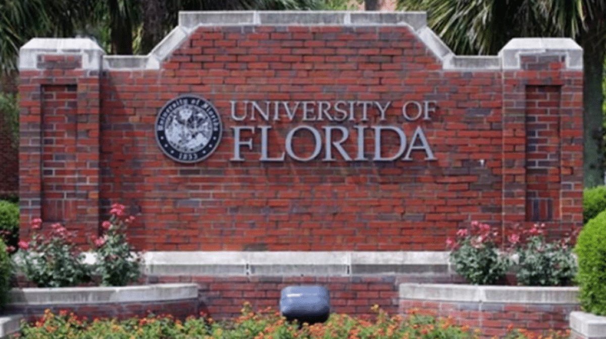 univerzitet florida