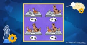 Matematička mozgalica: Kolika je ukupna masa psa, mačke i zeca?