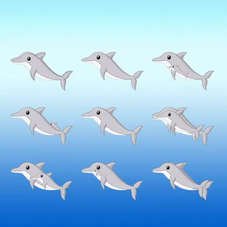 Mislite da imate oko za detalje: Koliko je zapravo delfina na slici?