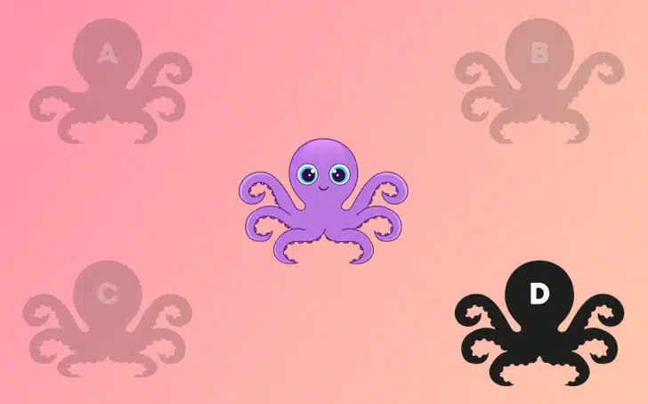 Mozgalica za razbuđivanje: Koja sjena odgovara hobotnici na slici?
