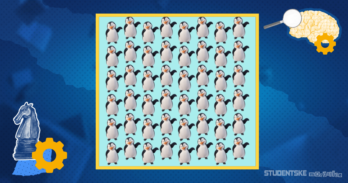 Studentska mozgalica: Možete li uočiti jednog pingvina koji se razlikuje na slici za manje od 9 sekundi?