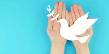 paper dove with a twig in female hands a symbol of peace
