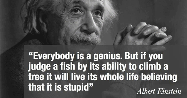 Einstein citat riba cover