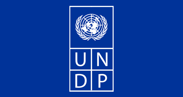 undp logo cover